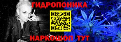 шишки Новокубанск