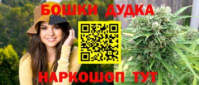 PSILOCYBIN Новодвинск