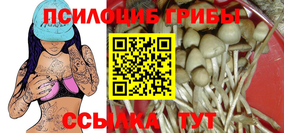 купить закладку  Вход с VPN  Сальск  Галлюциногенные грибы Magic Shrooms 
